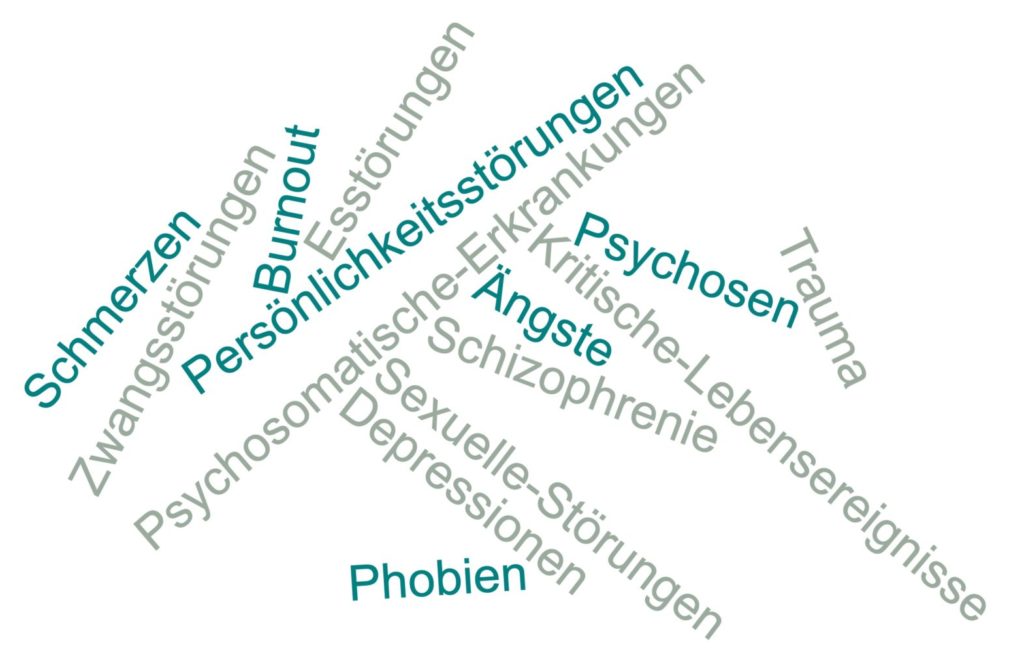 Zwangsstörungen, Schmerzen, Psychosomatische Erkrankungen, Psychosen, Schizophrenie, Persönlichkeitsstörungen, Kritische Lebensereignisse, Trauma, Esstörungen, Depression, Burnout, Ängste, Phobien, Sexuelle-Störungen